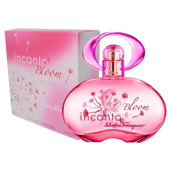 Incanto Bloom new Edition