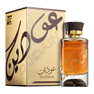 Oudain